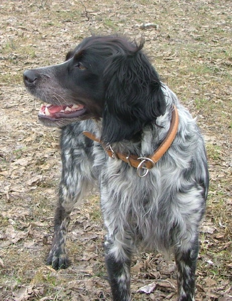 ULKA
