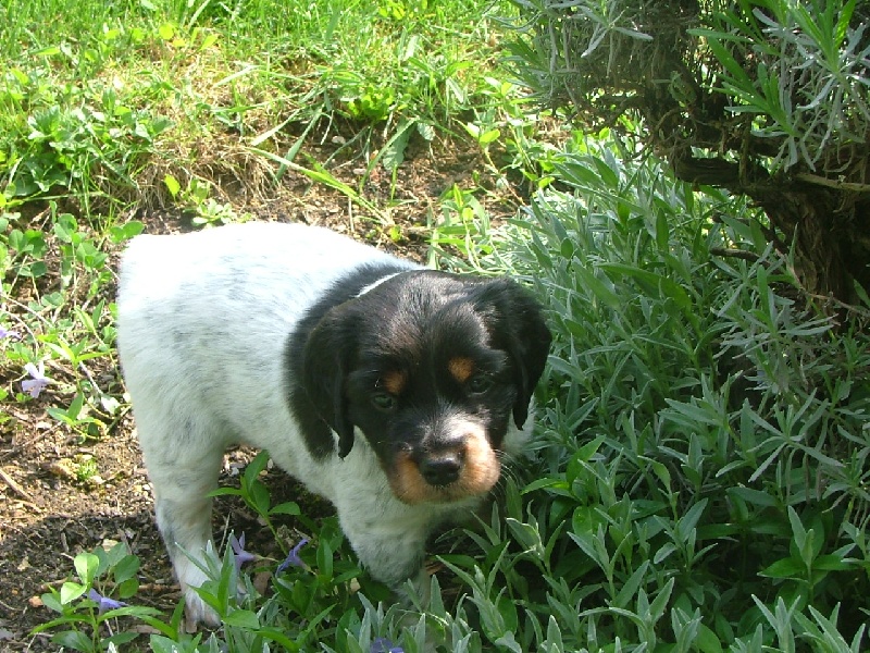 BIATKA